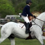 Sarasota county outdoor activities video Foxlea Farms horse show